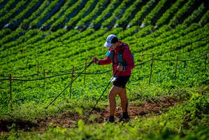 BIB: 
                            <button type="button" onclick="openModal(19161253)" class="btn btn-primary btn-sm float-right btn-popup" data-toggle="modal" data-target=".modal-high-quality">
                        <i class="fas fa-shopping-cart"></i> Add to Cart
                    </button>
                                            <button type="button" onclick="isThisMe(19161253, true)" class="btn btn-success btn-sm float-right btn-popup btn-isme hidden" data-toggle="tooltip" data-placement="bottom" title="นี่คือรูปของคุณใช่ไหม คลิกที่นี่เพื่อเอาเข้าอัลบั้ม">
                        <i class="fas fa-plus"></i> Add to album
                    </button>
                    <button type="button" onclick="isThisMe(19161253, false)" class="btn btn-warning btn-sm float-right btn-popup btn-isnotme hidden">
                        <i class="fas fa-ban"></i> Remove from album
                    </button>